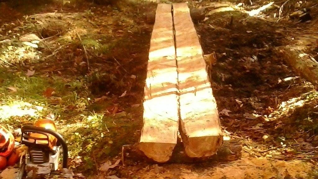 14691442_358692347804543_1336216182243525268_o