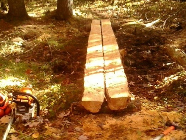 14691442_358692347804543_1336216182243525268_o