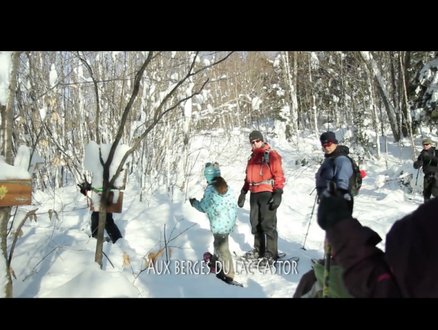 Screen Shot 2017-02-07 at 1.53.02 PM