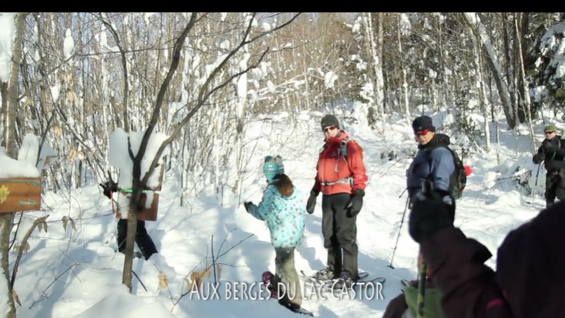 Screen Shot 2017-02-07 at 1.53.02 PM